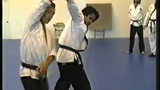 DoJuNim Teaching 3 Sin Moo Hapkido