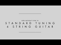 Soundsation's Standard Tuning 6 string guitar