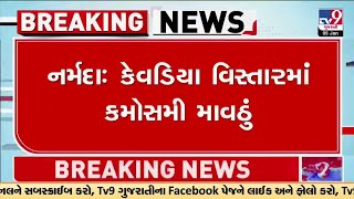 નર્મદા: કેવડિયા વિસ્તારમાં કમોસમી માવઠું, વરસાદના કારણે ઠંડીનું પ્રમાણ વધશે | Narmada | Tv9Gujarati