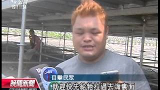 20130905 公視晚間新聞 西子灣海豚擱淺 急送成大鯨豚中心