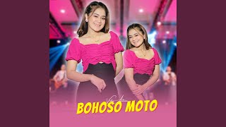 Bohoso Moto