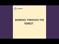 Burning through the Forest