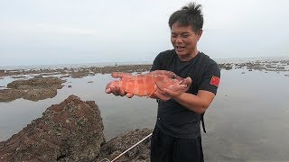 老四好几天没零花钱用，趁鱼睡着下水叉了不少名贵鱼 ，今天大赚了一笔