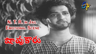 Shavukaru Telugu Movie | NTR Emotional Scene | N.T. Rama Rao | Sowcar Janaki | S.V. R. | ETV Cinema
