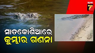 Crocodile Census In Satkosia | ଆଜିଠାରୁ ୩ଦିନ ସାତକୋଶିଆରେ କୁମ୍ଭୀର ଗଣନା ଆରମ୍ଭ | PrameyaNews7