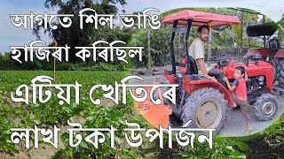 আদৰ্শ খেতিয়ক ৰবচন গগৈ || আগতে শিল ভাঙিছিল || এটিয়া খেটি কৰি লাখ লাখ টকা উপাৰ্জন