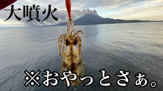 【エギング】鹿児島と言ったら、烏賊引きじゃっどんなぁ！