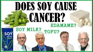 Does Soy Cause Cancer? Dr Greger, Dr Campbell, Dr McDougall, Dr Esselstyn