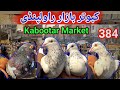 384 | High Flying Kabootar Bazar Rawalpindi | Latest Update Today Pigeon Market Price 1/12/2024