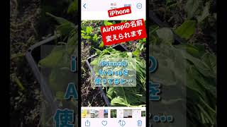 【iPhoneのAirDrop】名前を変えて個人情報を保護してセキュリティ向上