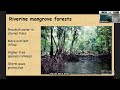 w3 seminar mammals to mangroves