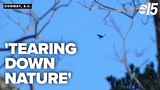 Bald eagle nest threatened by new construction in SC