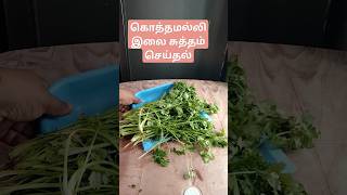 கொத்தமல்லி இலை சுத்தம் செய்வது இப்படி😀#youtubeshorts #viralvideo #trending #tamil #shorts #food #