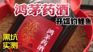 黑坑实测鸿茅药酒开饵钓鲤鱼散炮肉夹馍孔雀羽浮漂