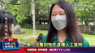 特製蔬果冰愛不釋口 動物大啖冰品萌翻