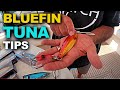 Bluefin Tuna Tips | How to Catch Tuna (Gear, Tackle & Techniques!)