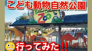 こども動物自然公園‼️埼玉県東松山市‼️動物園一周しました‼️2022年11月14日‼️🙇‍♂️