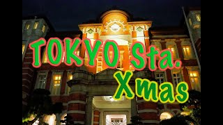 東京駅丸の内方面クリスマスイルミネーション