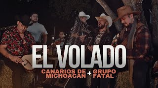 El Volado | Los Canarios De Michoacan + Grupo Fatal