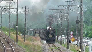 2019年5月19日 快速「SL ぐんま よこかわ」D51 498＋旧型客車5両＋EF64 37 信越本線 西松井田～横川 間