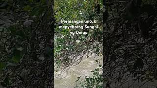 Derasnya Arus Sungai