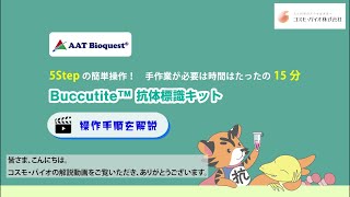 Buccutite™ 抗体標識キット