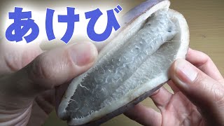 あけび！秋の味覚を食べる！食べ方なんてあるの？