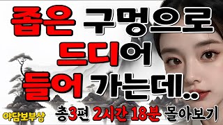 몰아보기.14 입을 막는 슬픔 외2편(2시간18분)