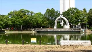 プレーリードッグ　小梅＆チャボのんんびり散歩（大仙公園）2014年9月9日