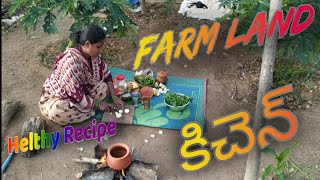 Farm Land kitchen//ఫామ్ లాండ్ లో దొరికే ఫ్రెష్ వెజిటేబుల్ తో వంట // family lunch//Indian recipe//