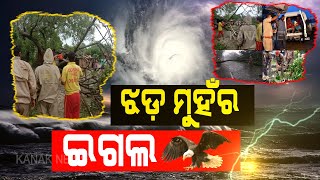 Special Report:NDRF, ODRAF And Fire Fighters Played A Vital Role To Save Lives During Cyclone Amphan