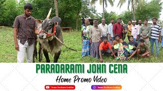 பரதராமி ஜான் சேனா | Paradarami John Cena Home Promo Video | kabilan | Sema Nachunu Irukku