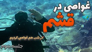 غواصی در قشم با لاکپشت و ماهی مرکب و غواصی در شب