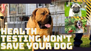 Why Health Testing Won’t Save Your Purbred Dog!!