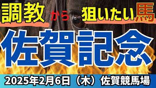 本命◎3着🎯【佐賀記念 2025】今年は地方馬にもチャンスがあっても？！狙ってみたい交流重賞【競馬予想】