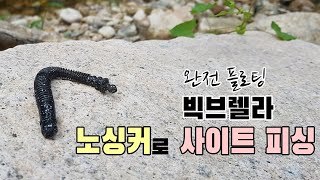 배스 완전 플로팅 웜 노싱커 사이트 피싱 액션 영상 [키맨루어 제품소개 8 - 빅브렐라 5인치 노싱커 사용]