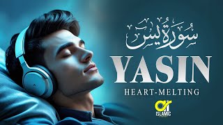 Relaxing Surah Yasin (Yaseen) سورة يس | Unwind with beautiful recitation | @islamicvideos.a.r