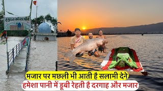 Mazar sharif par live machali bhi aati he salami dene | pani ke bich hazrat mota pir baba ki dargah