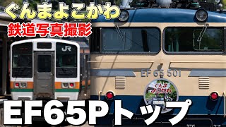 【鉄道写真】EF65 501牽引客車列車！快速ぐんまよこかわを撮影する！