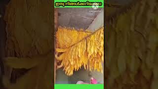 ഇതു നിങ്ങൾക്കറിയാമോ 😳😳#share #shortsfeed #subscribe #shorts #video #viralshort #viralvideo #facts