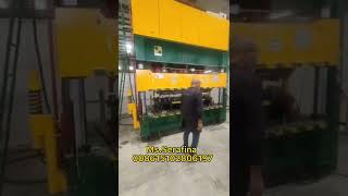 315T Four-column servo hydraulic press, Refrigerator door metal forming