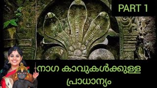 part 1 കാവുകൾ /നാഗങ്ങൾ /നമ്മുടെ തലമുറകൾ / #spiritualjourney #nagapooja