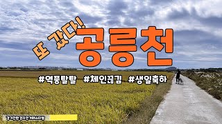 자전거 라이딩 공릉천 한바퀴 돌고 오실래요? 체인 끊어지고 + 역풍 탈탈, 지난번에 또 온다고 했지?!?!?