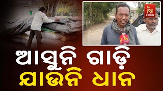 Paddy Procurement Hits Roadblock in Jajpur: Paddy Sack Lying On Mandi Due to Rice Millers Negligence