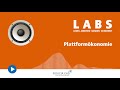 plattformökonomie michael luks und torge ruge labs podcast