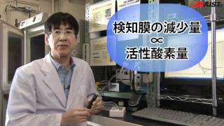 活性酸素検出用表面作用量モニターシステムの開発