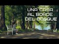 A quien no haya visto esta película se la RECOMIENDO | UNA CASA AL BORDE DEL BOSQUE