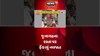 જૂનાગઢના રસ્તા પર નવજાત બાળકને ફેંકાયું | New Born Baby | Newborn Abandoned | Gujarati News #shorts