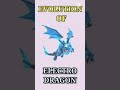 EVOLUTION OF ELECTRO DRAGON