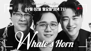 웨일즈혼 라이브 방송 48회(Whale's Horn Live)